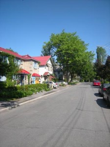 Developed in the 1930s, Lakeside Avenue, with its mature trees, runs east /west and offers direct access to Queen Elizabeth Drive. Photo: Andrew  Elliott 